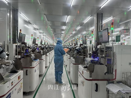 数字见证甜城内江 年产60亿只产品，年入4亿，营商环境为企业注入澎湃动能